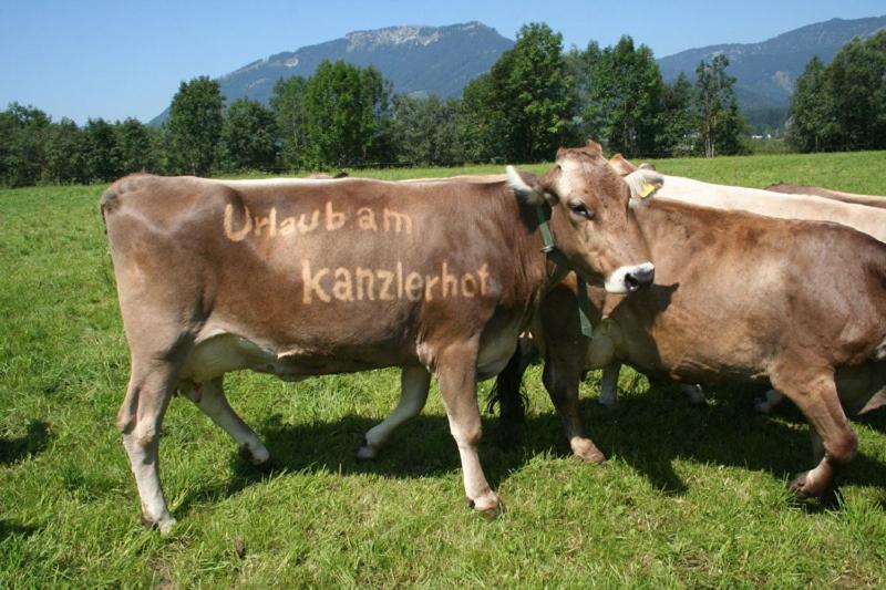 Kanzlerhof Bad Mitterndorf Dış mekan fotoğraf